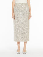 Embroidered tulle skirt