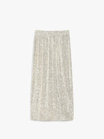 Embroidered tulle skirt