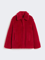 max mara cropped teddy coat in alpaca and wool for women