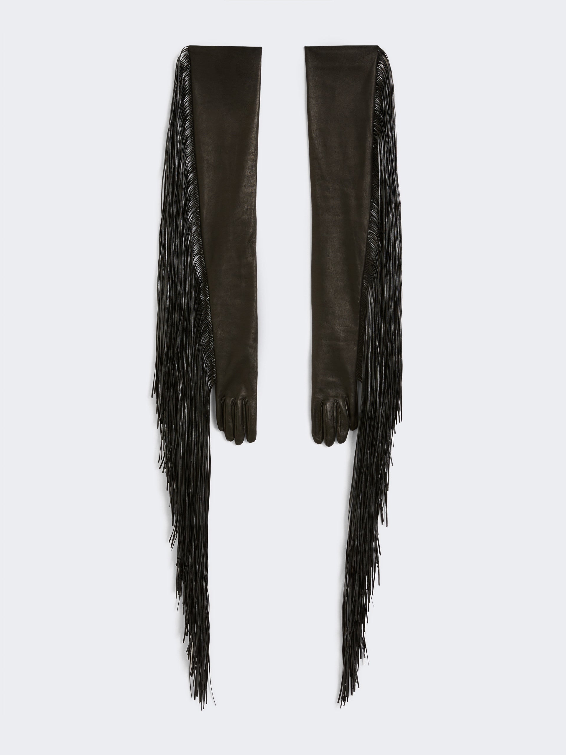 Long Gloves With Fringes - Runway for Women - Black - Max Mara UAE