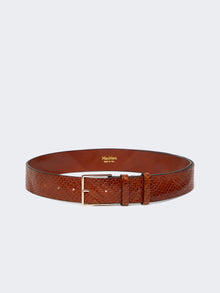 Braided Leather Belt for Women - Tobacco - Max Mara UAE