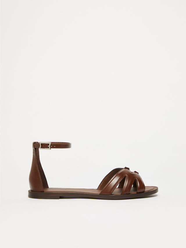 Flat Leather Sandals for Women - Cocoa - Max Mara UAE