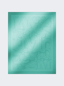 Cotton, Modal And Cashmere Jacquard Shawl for Women - Pastel Green - Max Mara UAE