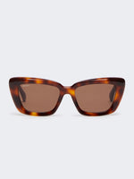 Acetate Butterfly Sunglasses for Women - Tawny Bronze Brown - Max Mara UAE