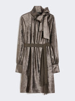 Metallic Chiffon Dress for Women - Platinum - Max Mara UAE