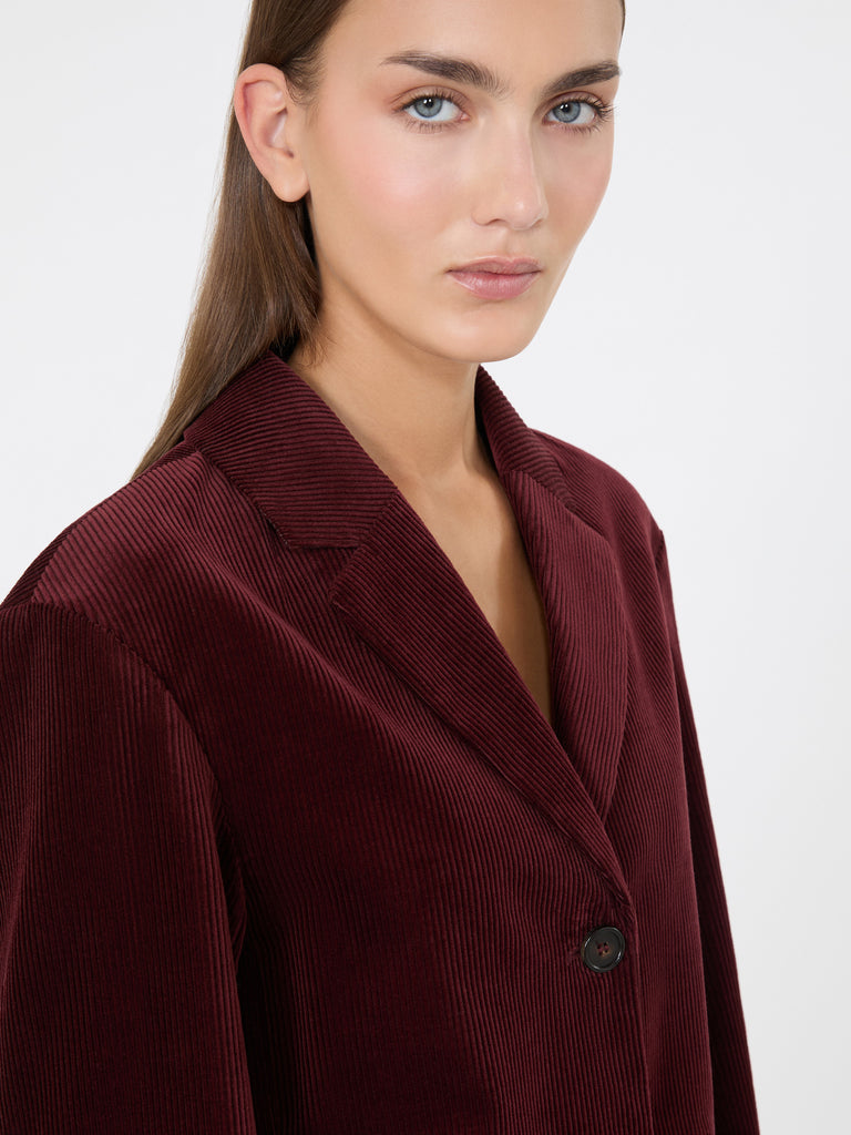 max mara fine rib-knit single-breasted velvet jacket