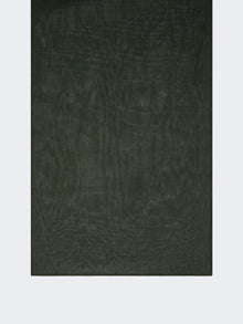 Silk-Blend Shawl for Women - Moss Green - Max Mara UAE